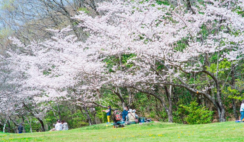 三好丘緑地